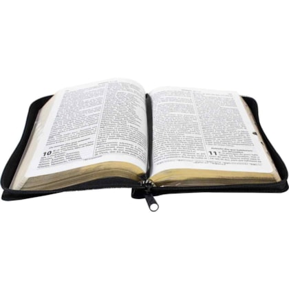 image_13ae786f-58e0-490d-885a-d5fb386660ca