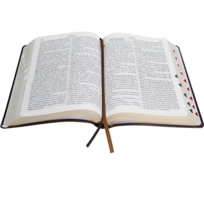 image_89ca7a61-4c8e-4169-be8c-334a32e54a31