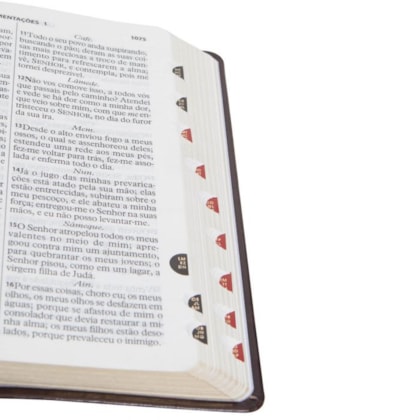 image_9f59e5b2-672c-4562-8237-1c959b5df006