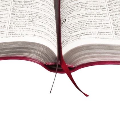 image_ddb7899e-cb76-4e5e-9087-7e3d0da55b59