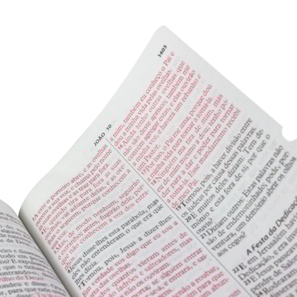 image_8fc1debf-4532-4cdf-b5c0-f18dd414953b