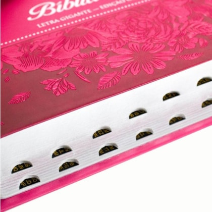 image_f1b95ae7-7c42-4652-b231-157960c12d86