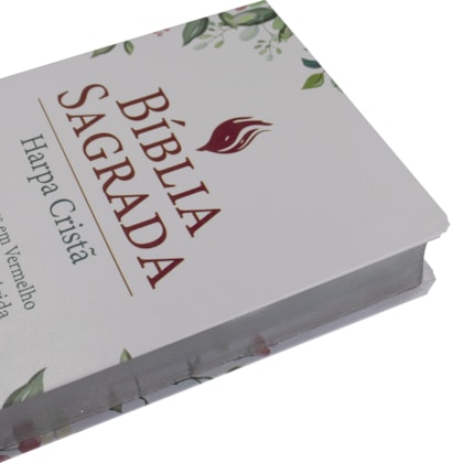 image_3ba350db-e39c-40b4-abe4-f955154ac537