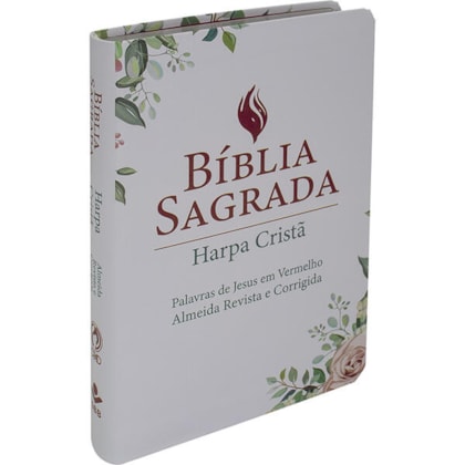 image_67e42c8c-eaf5-4dac-9a1a-ea59a14910c6