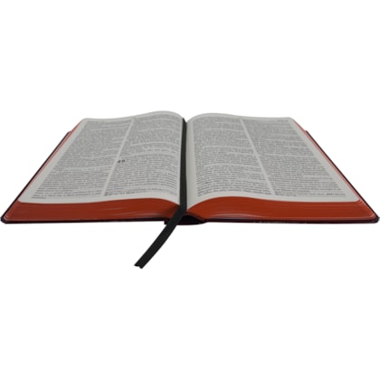 image_241811ec-bcef-4035-b1a8-f8648659b7f6