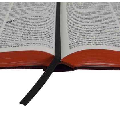 image_eadfa791-6d19-4a52-be84-35173cdb13b4