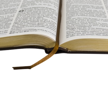 image_cb33dcd5-f63f-463c-b20a-ec64857ad60f