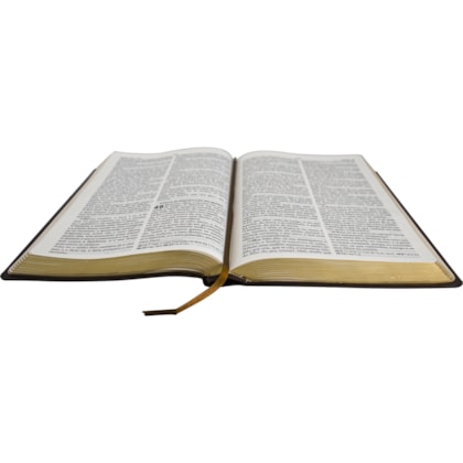 image_ae7bcd46-3358-40cf-aae9-9aa6a1dfedad