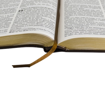 image_94c49fa7-761f-4ee8-a42b-e037b0daccb5