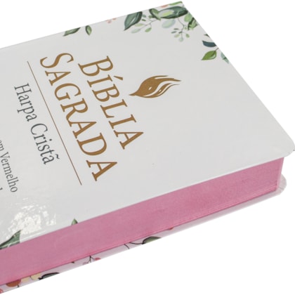 image_fc9e3bf6-6b9e-48e0-9862-3fece23c72c1