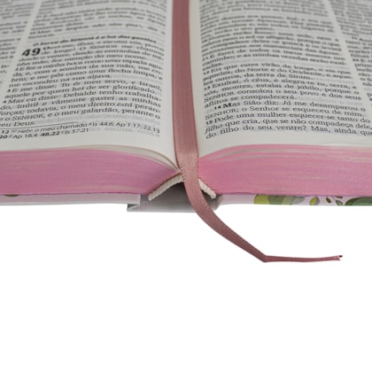 image_b47904bf-c0a4-4b73-a0f3-4a213ae02b73