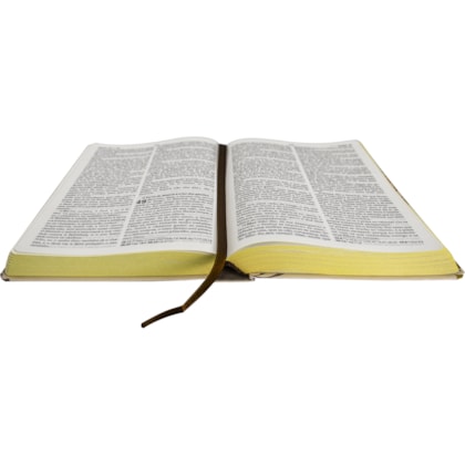 image_b7d618d3-74e5-4b0e-80bb-5afa99d5f0ef