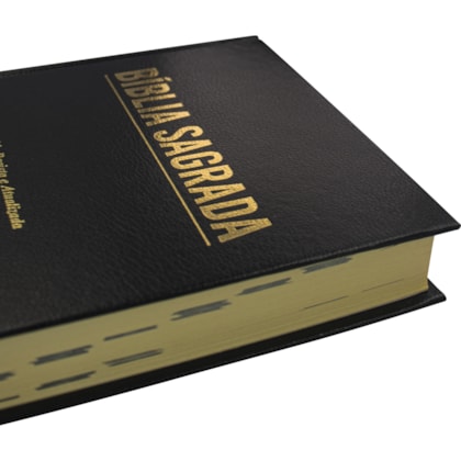 image_819a24b4-6d3a-49e3-ba7a-cb30c218682c