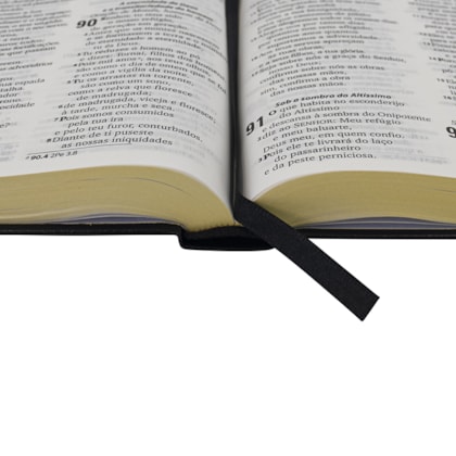 image_6300a9f9-6ced-499e-a74b-618071bf8616