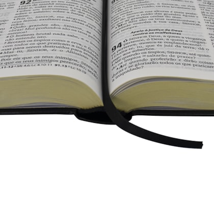 image_0b9c15f3-f78f-496c-9dd8-e2c933fb88cd