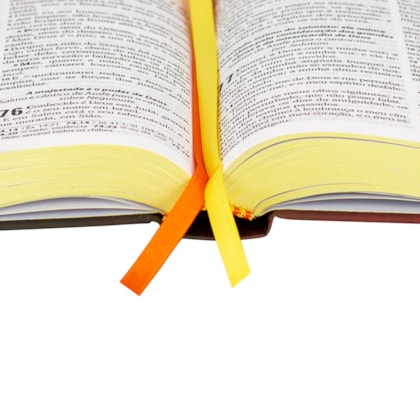 image_ffa4ceb7-1bbd-48ab-a6e0-646f2ee7b3e3