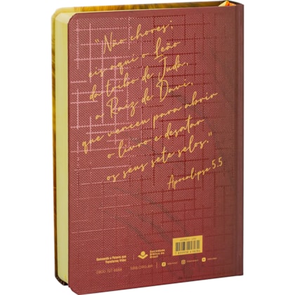 image_38c538ba-d8c0-4b8e-a7e4-1e532ca35fb5