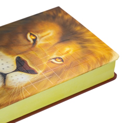 image_53c34352-601a-4521-b60e-d56bad48fb9a