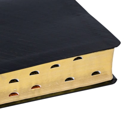 image_d0eda077-808f-4a3d-ac79-ea20b57e04d7