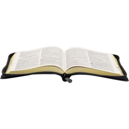 image_ad3f85e5-f0b6-45f7-bc1b-832a16dacee4