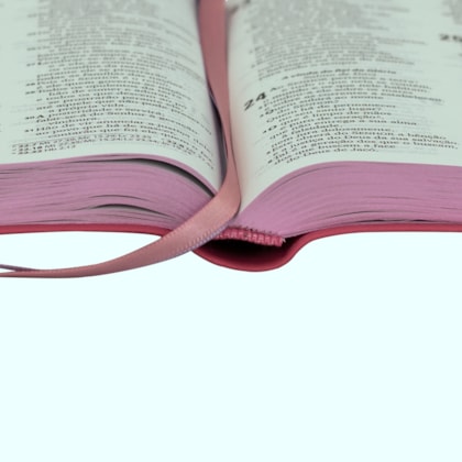 image_7ef9e3a0-01fb-4d01-941e-986c71c80ce0