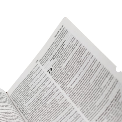 image_7ed988b2-1c12-4690-b07c-8a218fffb423