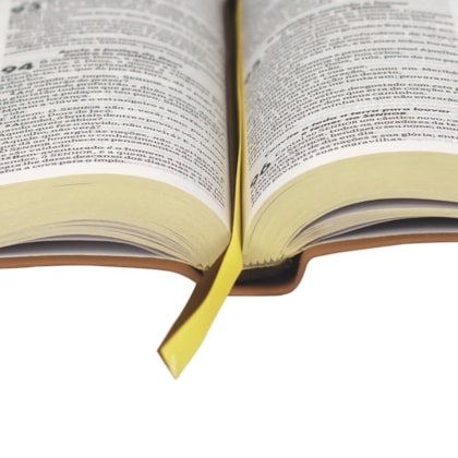 image_e638e1de-e298-4e36-a1b1-b30197564e48