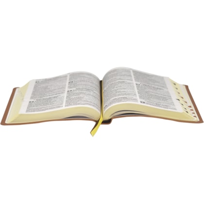 image_670a8fc9-2731-4ffd-a386-7366e240ba7f