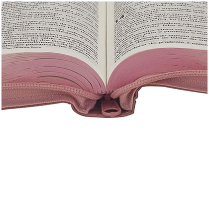 image_99296943-0e7c-4e9b-b447-5d158167e22a