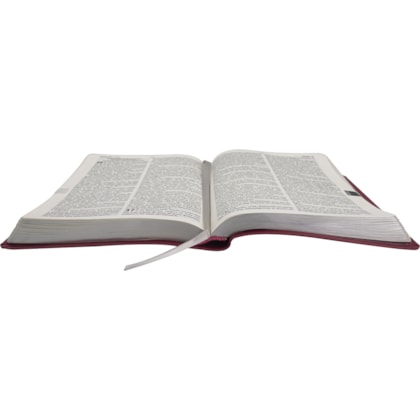 image_e9d61c41-5c6a-48bc-ac02-2c5f04b664e9