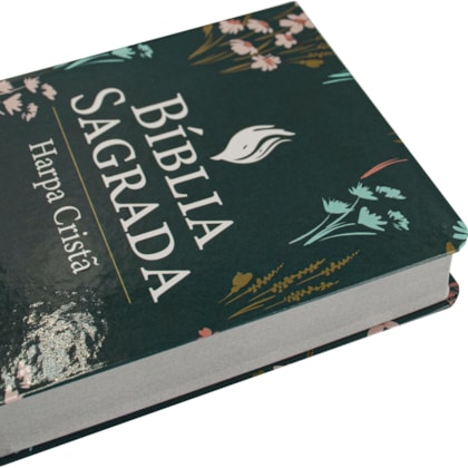 image_c9213836-e7d1-45d3-b91f-3608336b53cd