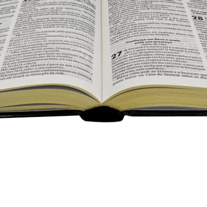 image_27e1e0b9-4a5b-492b-b5d4-a8b9d3258bab