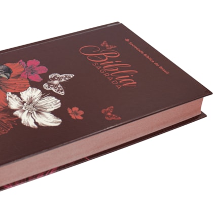 image_e3dbfb26-927a-413c-8d08-7bf0a180153c