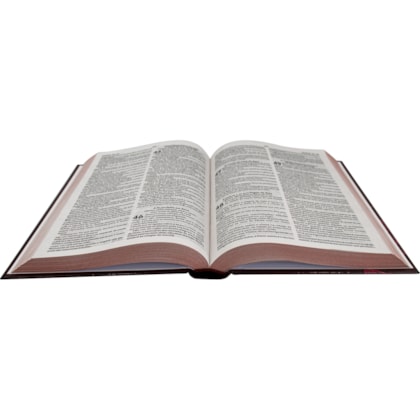 image_6ef0cb91-4072-458c-8eb3-9808f7c8d008