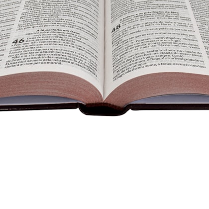 image_1a3d1f0a-2d21-4140-a388-6e47e0472ecc