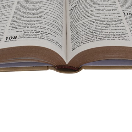 image_a4b7885d-05d2-45f2-8535-72aede4c0993