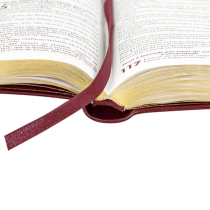 image_4b7cef4c-026d-4894-9dc4-a87e1bc52405