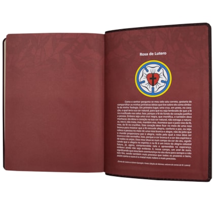 image_09599300-fc62-407a-89cd-57fcba285bca