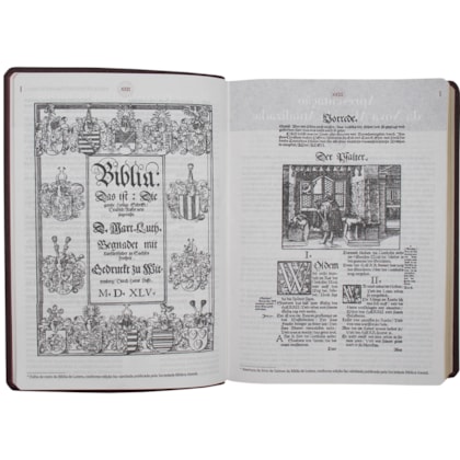 image_d4678381-a85c-487b-a994-0e96031de4f4