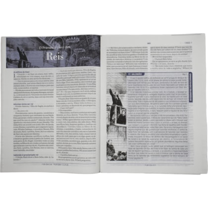 image_e45526bd-24b4-4377-aad6-85444d4af5e6