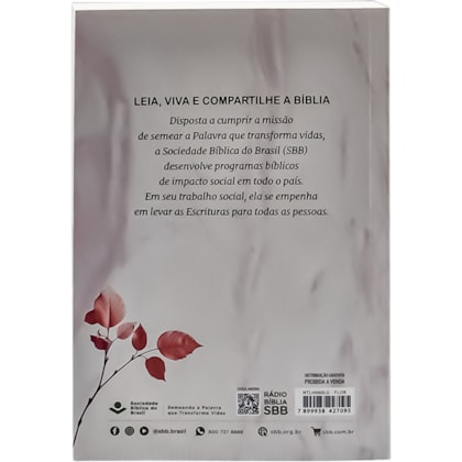 image_40f2d259-326d-45a1-b9e8-5e740a5858c5