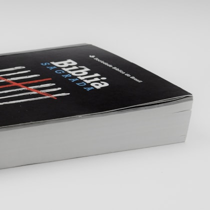 image_fb8521e0-7982-4a7b-9b25-94396c8c128a