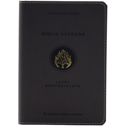 image_f11f9d4d-4d85-4b54-8687-2dfe1ac00c04