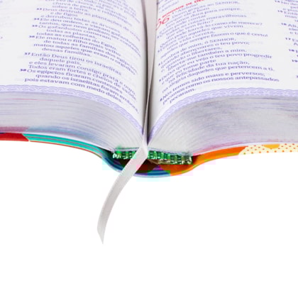 image_53d30464-af9c-44cc-86ca-1d8b91cb4a4a