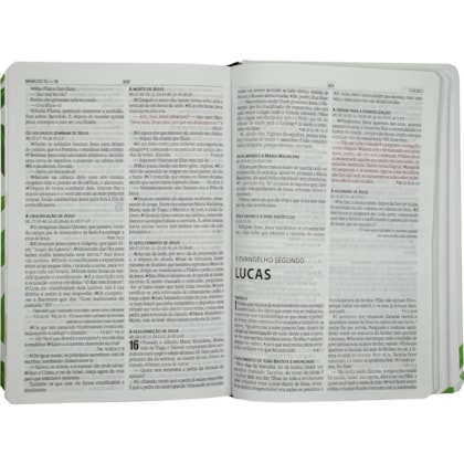 image_15b90b5c-6c5b-48a4-b44e-d1e8888a750a