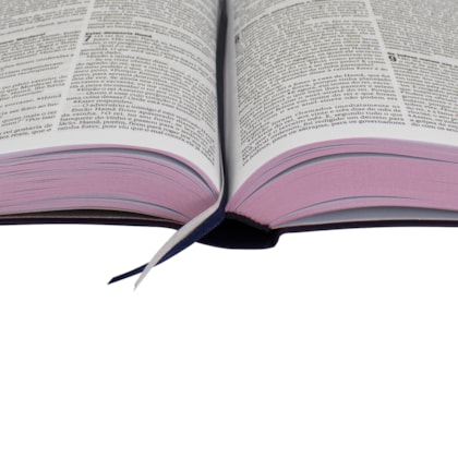 image_259262c5-fcfd-41fd-b837-9cc0706fd6b7