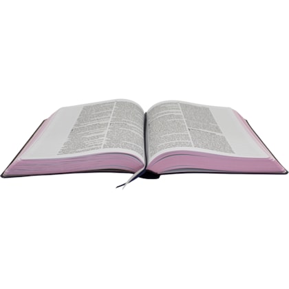 image_6224d78f-3a11-4380-a8fb-cddfbf88415d