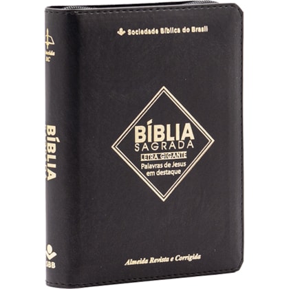 image_e416e735-4689-4d1d-9036-a8dfdd710d5e