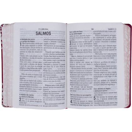 image_256196ea-24f5-4682-a84e-4d7c258cbfec