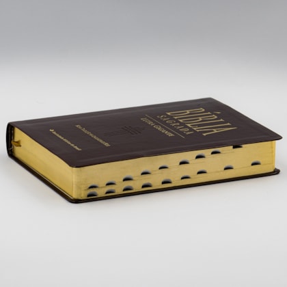 image_ce608a22-7dea-4bab-a558-9fb3549629b6